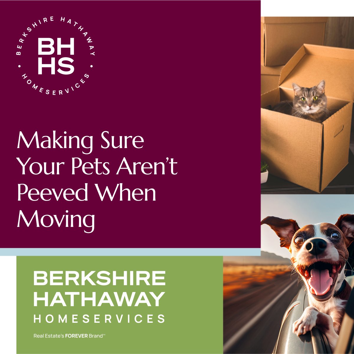 bertrand_craig's tweet image. Want to ensure your next house move is as stress-free as possible for your beloved pets? Let’s chat! I’d love to help guide you and your animal companions through your journey. 🐶😻

#MovingWithPets #MovingHouse #BHHS #BHHSRealEstate