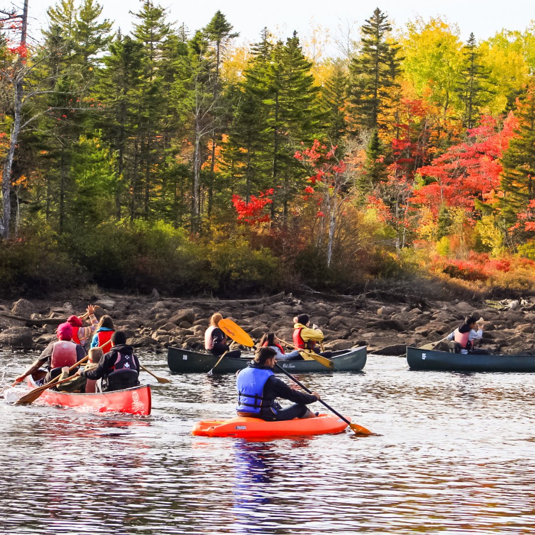 🌳 🏕️ 🎭  🎨 ✨Teachers and Educators!! ✨ 🎨 🎭 🏕️ 🌳

Interested in renting out the Brigadoon Village facilities? Be sure to book soon, as spots are filling fast! 

To learn more or book our facilities, check out brigadoonvillage.org/facilities/sch…