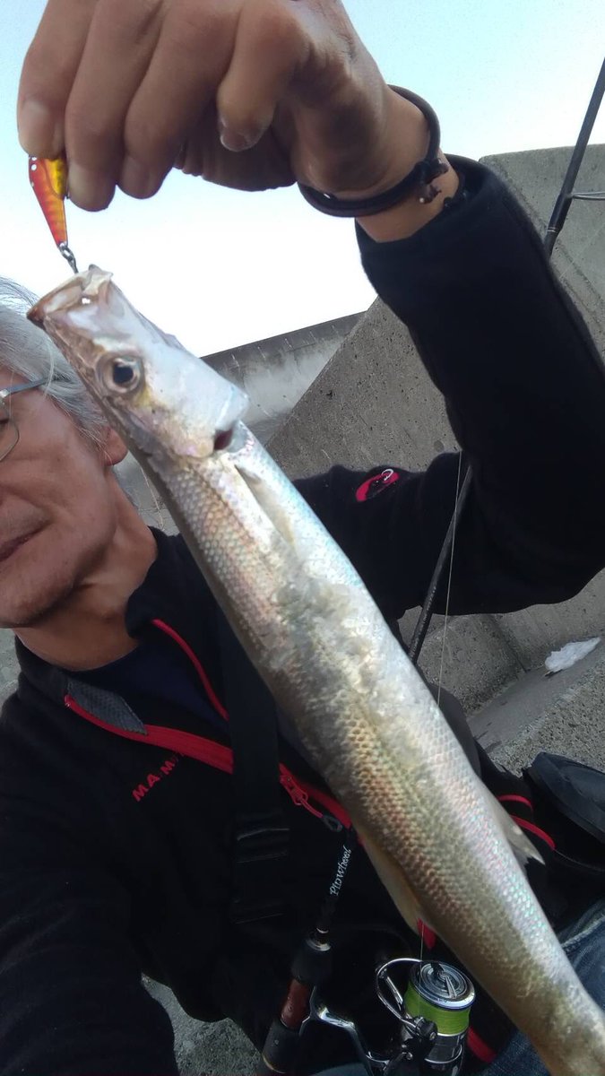 palms_japan's tweet photo. ピンウィールPFGS-63ULにちょっとオーバーウエイトだけどビズ47Sをセットしボトムを意識してのゲーム展開でナイスサイズのカマスをキャッチ出来ました！

#palmsfishing 
#パームス
#カマス
#ライトゲーム
#ビズ
#ViZ
#ピンウィール
#PFGS https://t.co/mAhhmL9HkJ