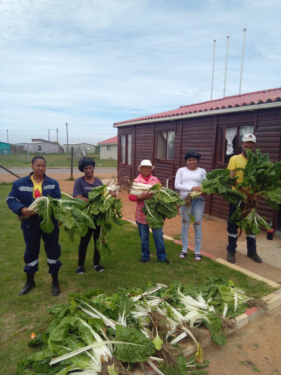wo_fire's tweet photo. WOF Gouritsmond team's food security garden is blooming with spinach, and they're sharing the harvest with the community. B Working on Fire, is passionate about cultivating teamwork and food security.
#WorkinsOn Fire #CommunityHarvest #Teamwork https://t.co/bRfLp2pfsR