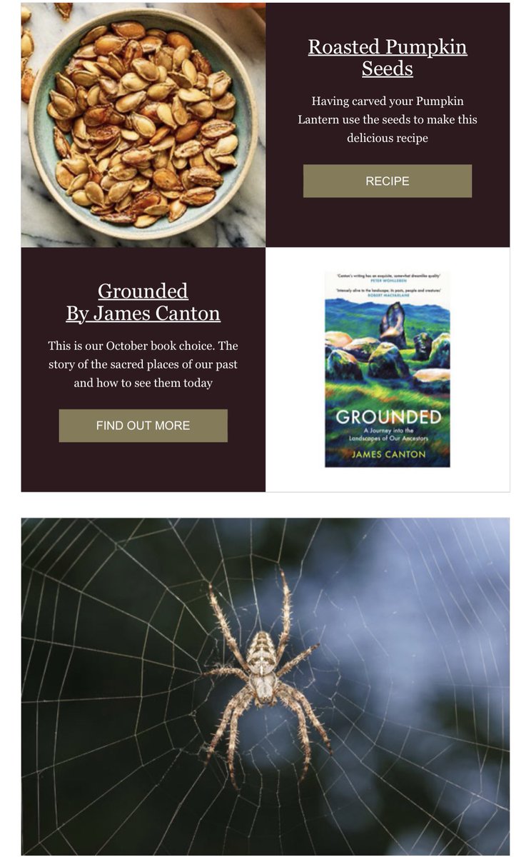 EnglishOutdoors's tweet image. October Nature Notes is out now mailchi.mp/da5ab6e963df/o…
@froglifers @WildlifeTrusts @WoodlandTrust @BritishSpiders #naturenotes