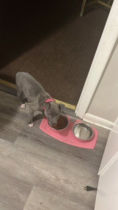 Her getting big #isis https://t.co/YswzVKWTeE<a href="/tag/isis"class="tags">#isis</a>