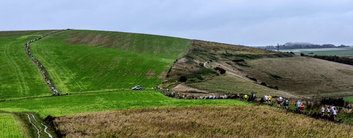 50+ and Running 🏃🏻‍♂️🏋️‍♂️🧘‍♂️ tweet media