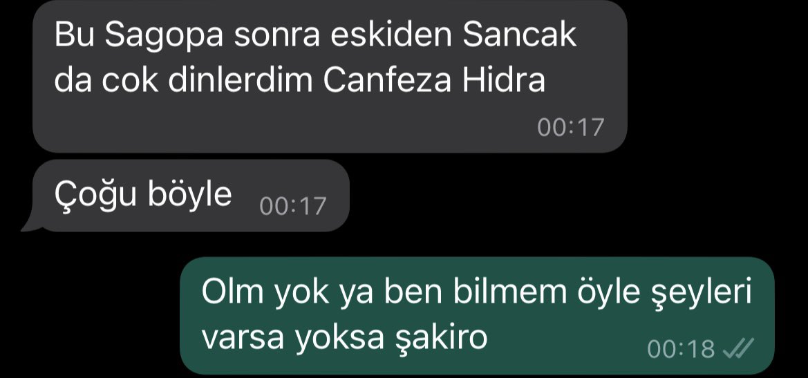 Aynen Sagopa falan