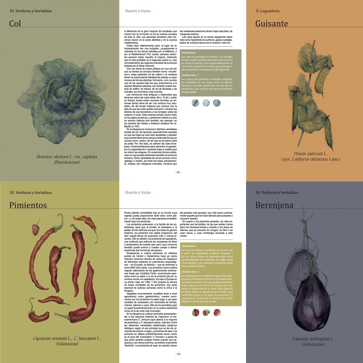 Smart Ecomountains tweet media