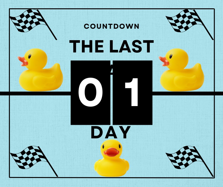 Last Day - who will win? 
@stevenbartlett <a href="/ILoveMCR/">I Love Manchester</a> <a href="/TheGuideLpool/">The Guide Liverpool 🌇🌃</a> 
#ducks #duckracing #race #winners
