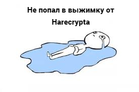 danyokku's tweet photo. @harecrypta @Harecrypta_fun #NFTCommunity https://t.co/ube5jpm6w3