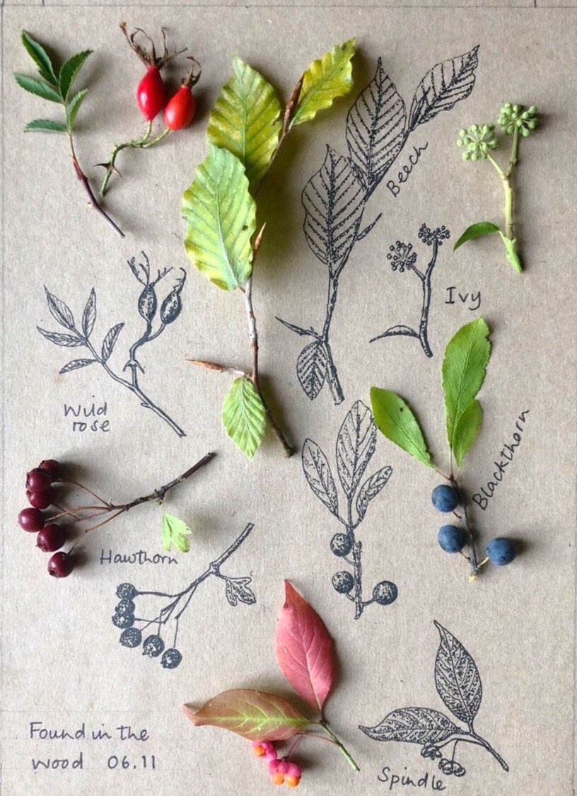 If you’re feeling low, have a long term physical or mental illness or both, have a big lump of stress atm or someone you love is struggling &amp; you want to take their pain away then you’re definitely not alone. Try not to be a git to yourself. 
I’m sending gentle thoughts today 🌿