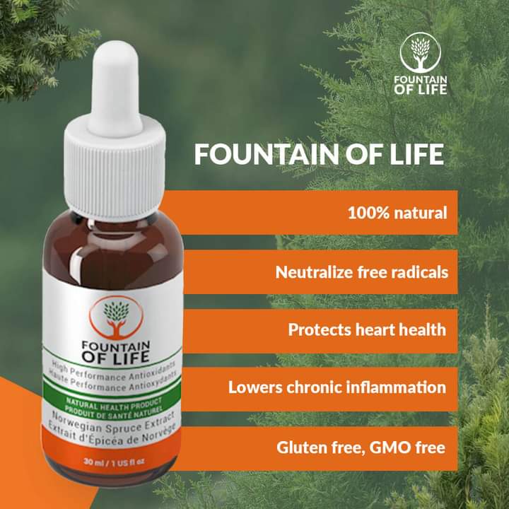 Embrace the health revolution from a Norwegian Spruce Tree! 🌳 Boost immunity, protect against disease, promote hair health, and fight inflammation with every sip. Live life to the fullest! 💞 Check it out: wu.to/hVjPk5 🌿 #LiveLifeWell #HealthRevolution