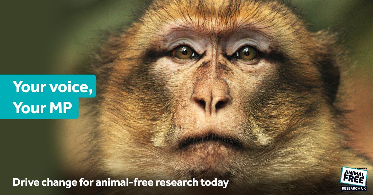 AnimalFreeResearchUK tweet media