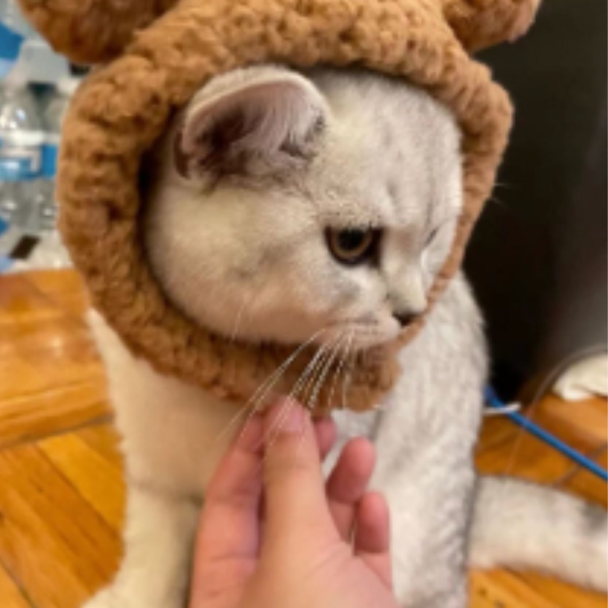 ActionIQinc's tweet image. What do Chewy Lewis, Nutella, and Rubble have in common?

They are all ActionIQ pets that joined our first ever ActionIQ Pet Spectacular! We'll let the adorable pictures take it from here…

#Pets #LifeAtAIQ