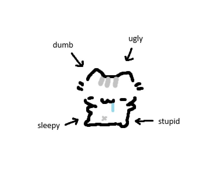 dumb cat !! very stupid !!