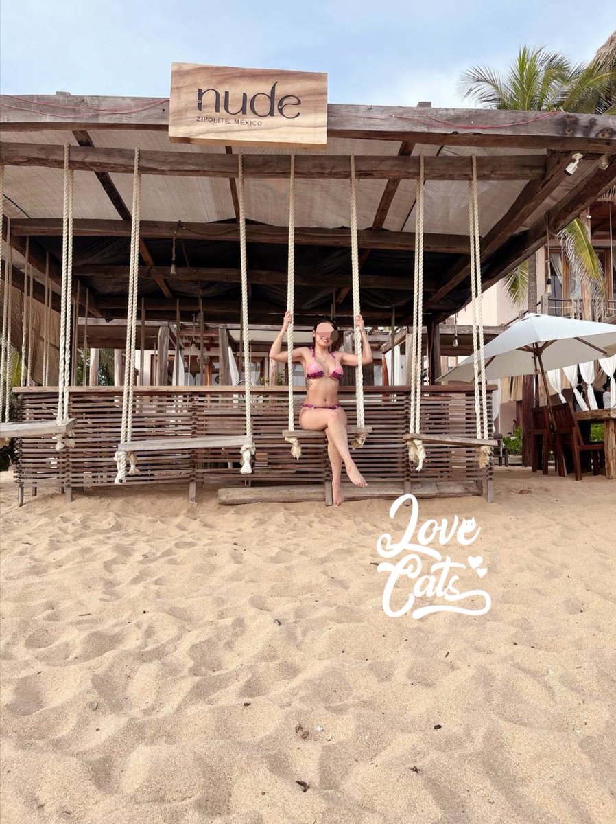 Love Cats tweet media