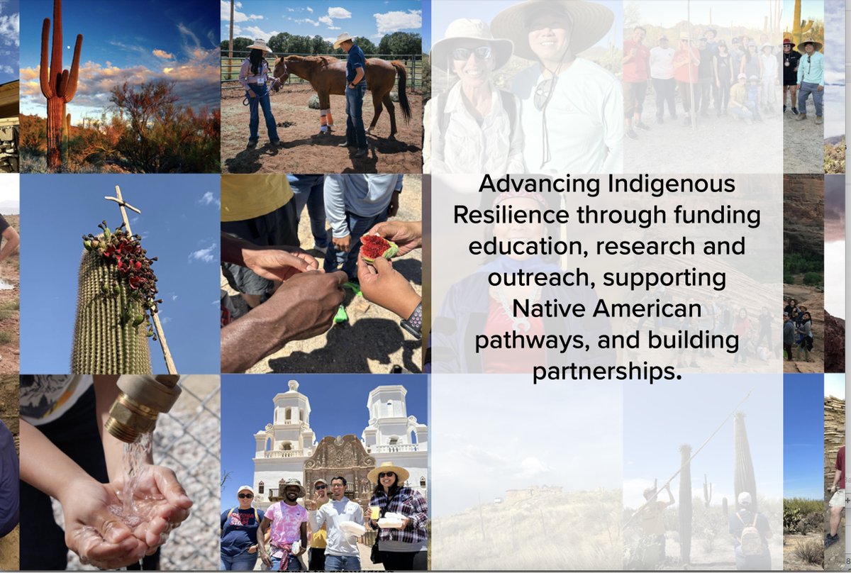 hauryprogram's tweet image. We are honored to invite you to visit our new website with lots of updates. Please let us know what you think! 

haury.arizona.edu

#indigenousresilience #NativePathways