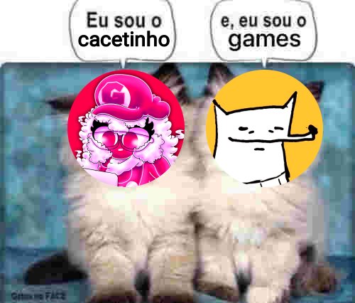 IsaShine tweet media