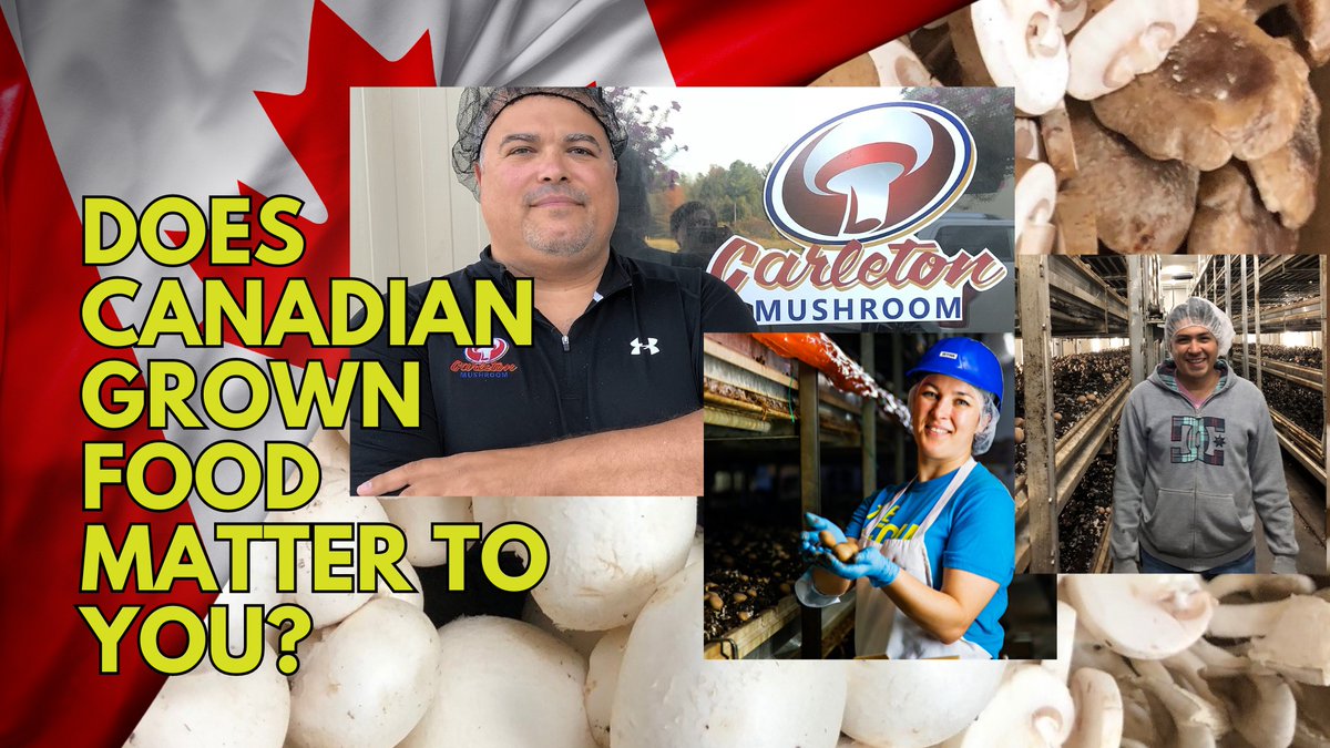 Do you care abt 🇨🇦 Canadian grown food?  
Help Canadian farmers to keep growing for YOU click 👉agcarbonalliance.ca/vote-for-bill-… Add your postal code &amp; email ALL Senators in your province TODAY. Tell them to RESTORE Bill C-#234 to its original form so all #cdnag including 🍄are INCLUDED.