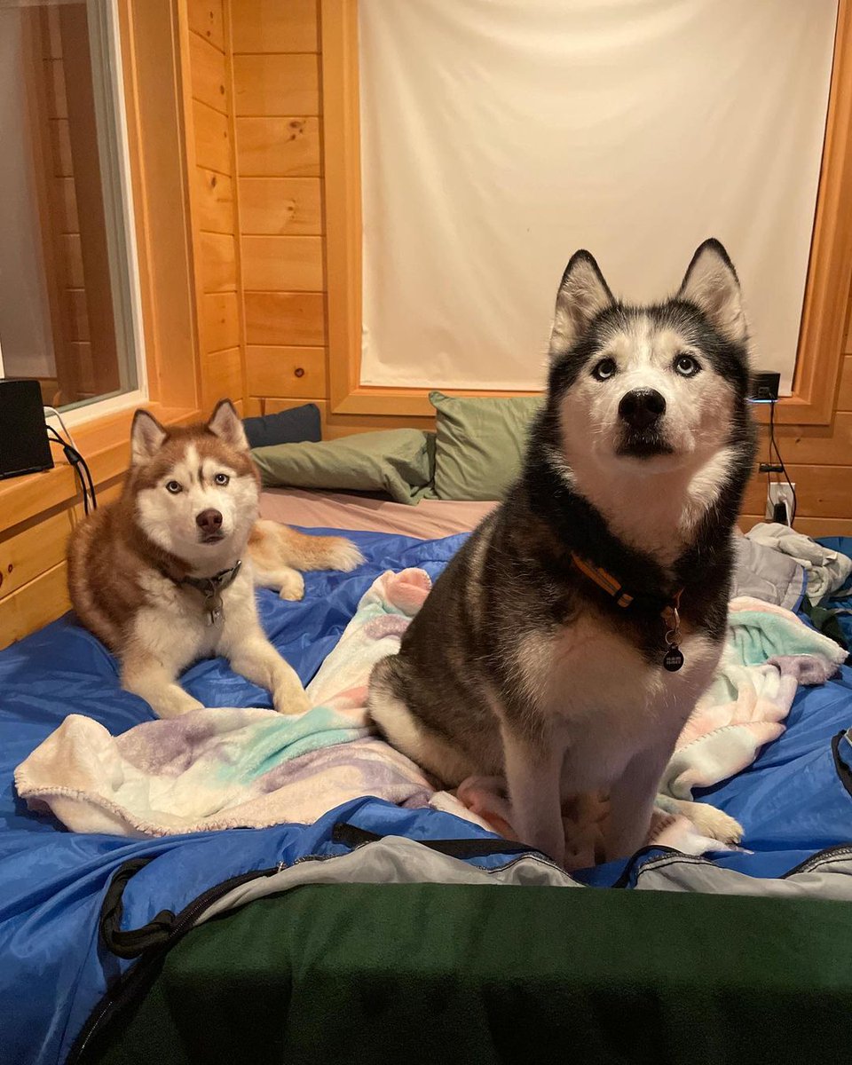 Aww adorable pack
