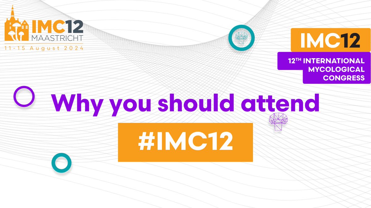 🍄Discover the future of mycology at #IMC12 in Maastricht! 🙌Connect with global experts, stay current with cutting-edge research, and broaden your horizons. Don't miss it! 👉bit.ly/46CiH2G #mycology