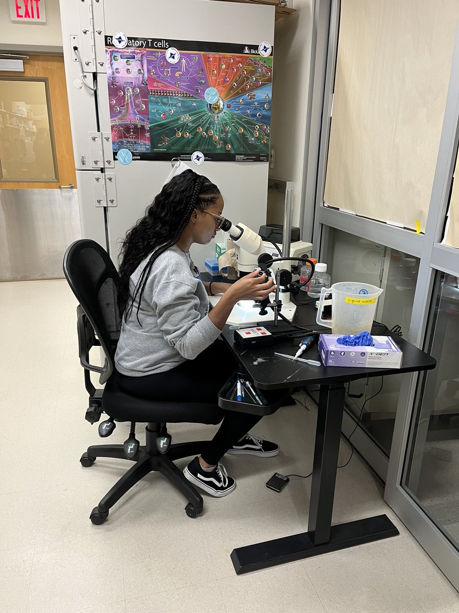 🐸Rachel🐸Miller🐸 tweet media