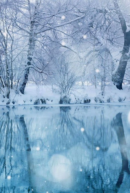 bidoeroutsiders's tweet photo. Good morning, "Let it snow, let it snow..." https://t.co/4FPQGS20dQ