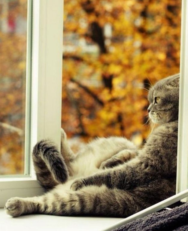 DAWN🌞 tweet media