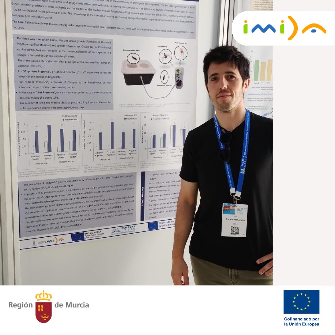 IMIDA Murcia tweet media