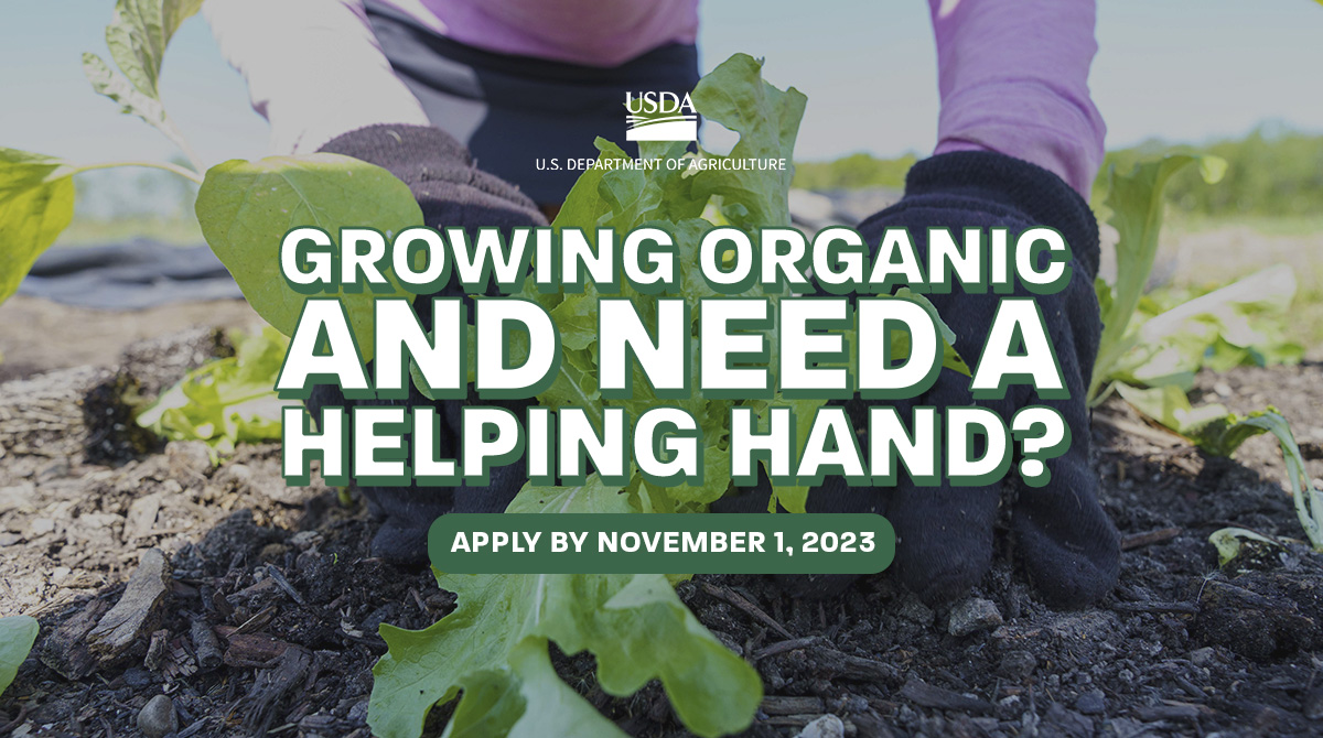 The deadline to apply for the Organic Certification Cost Share Program (OCCSP) is this Wednesday, November 1. Details: bit.ly/3zhyNOG