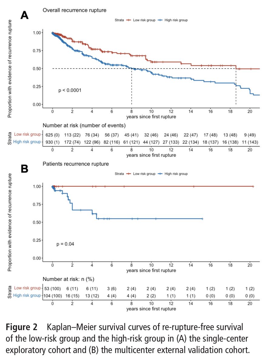 Re-rupture in ruptured brain arteriovenous malformations: a retrospective cohort study based on a nationwide multicenter prospective registry  jnis.bmj.com/content/early/…