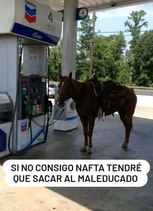 Juan 🐴