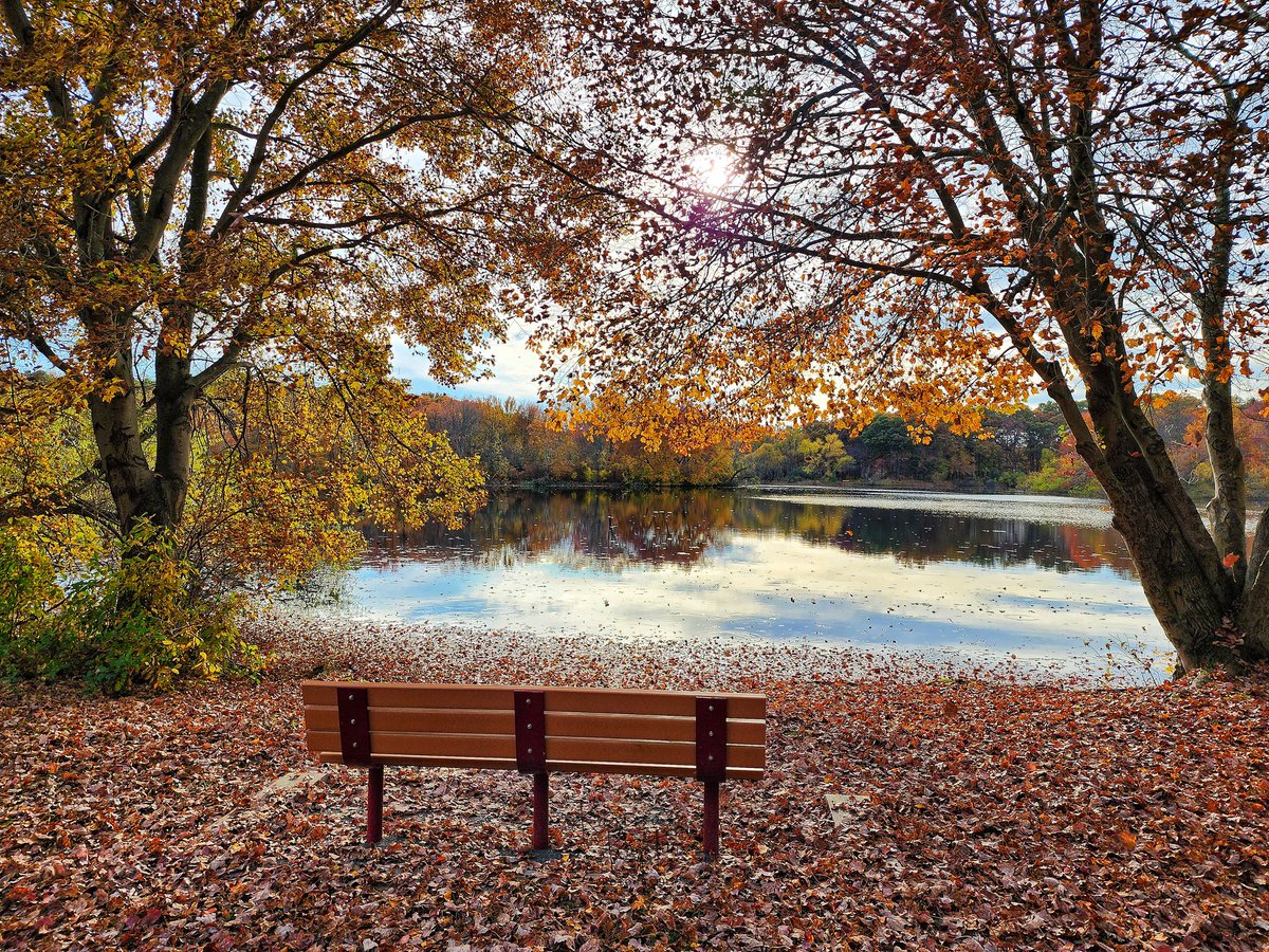 Life is like a bench. Sometimes you sit alone and ponder. Other times, you share it with someone and create memories. 

#KarissasKaptures #TurkeySwampPark #FreeholdNJ #NewJersey #LandscapePhotography #FallLeaves🍁 #FallSeason #fallismyfavoriteseason #ILoveFall #GetOutside