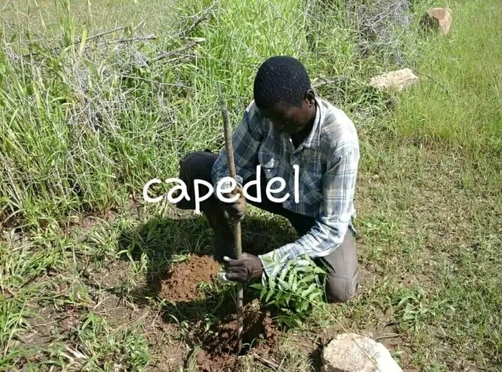CAPEDEL158010's tweet photo. https://t.co/zctkzqVnZq