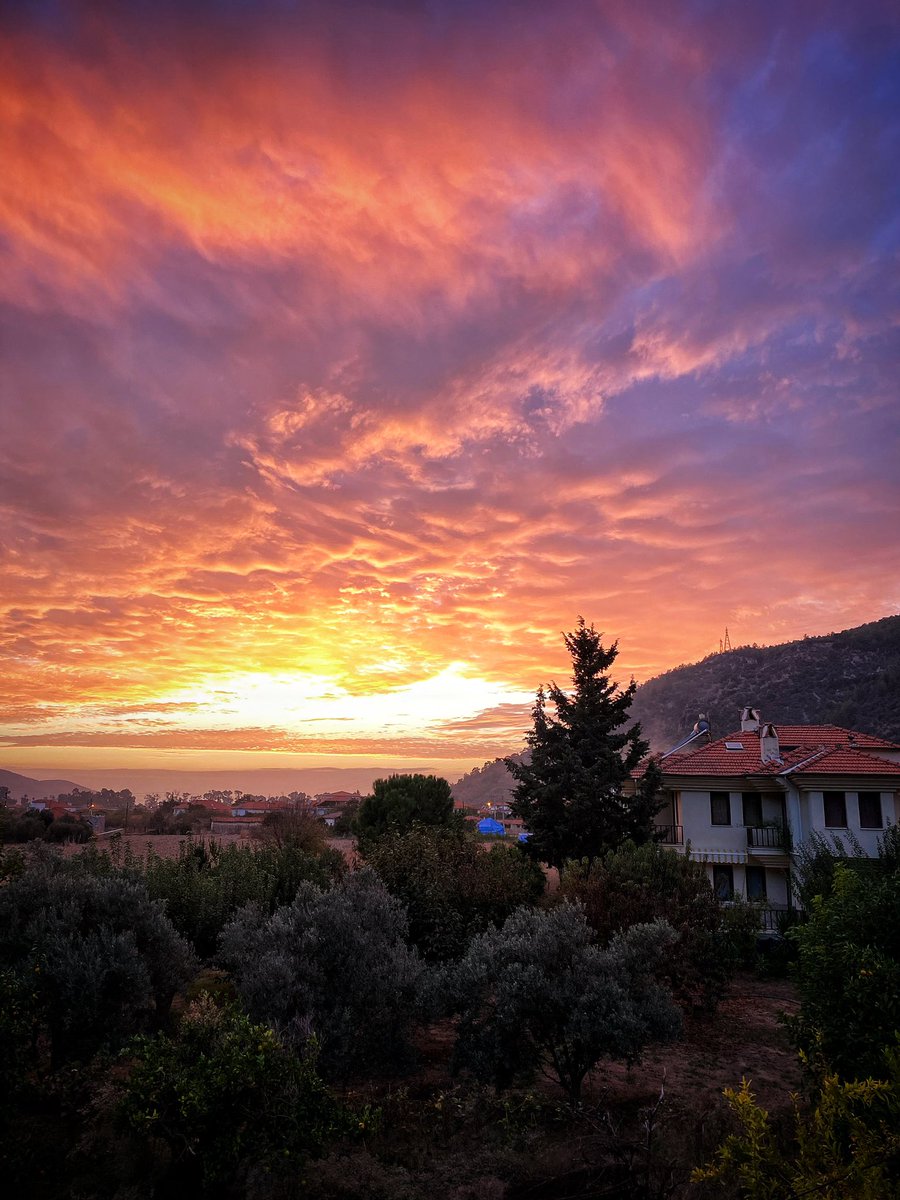 ⚠️Kasım'a 1 kala.