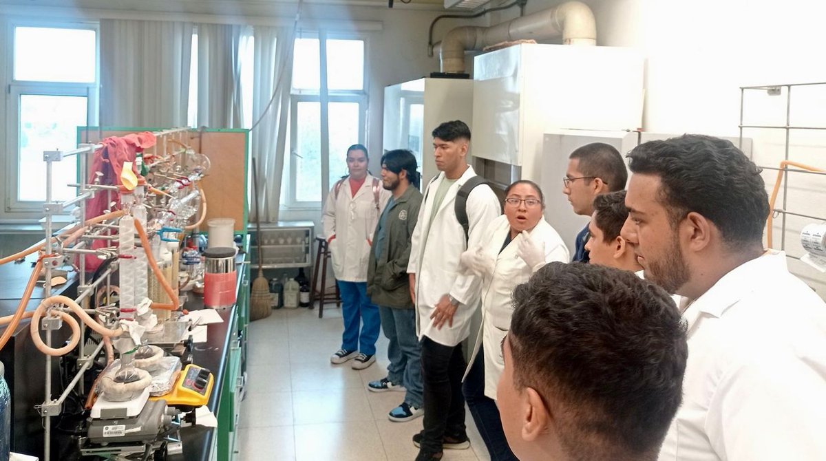 GSRNyE Cinvestav tweet media