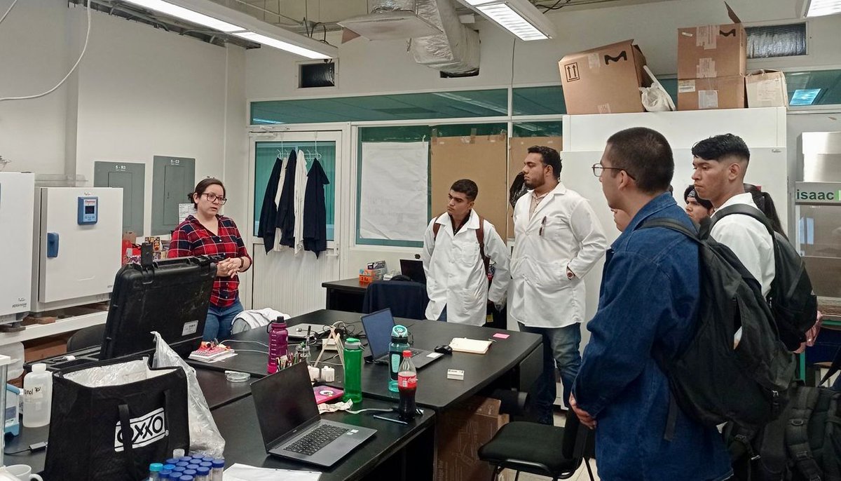 GSRNyE Cinvestav tweet media