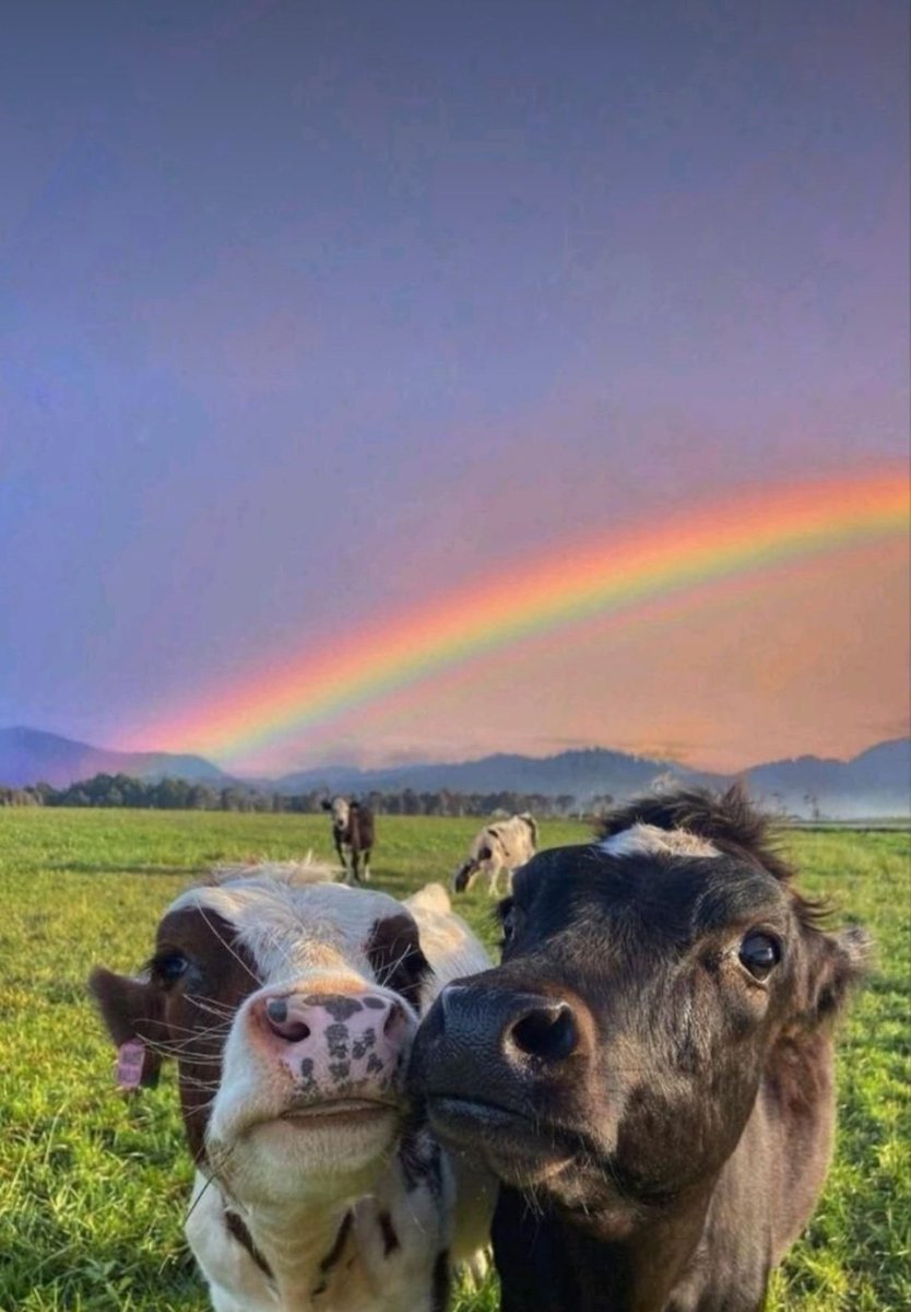 Myperson.bls😊🔥💕 tweet media