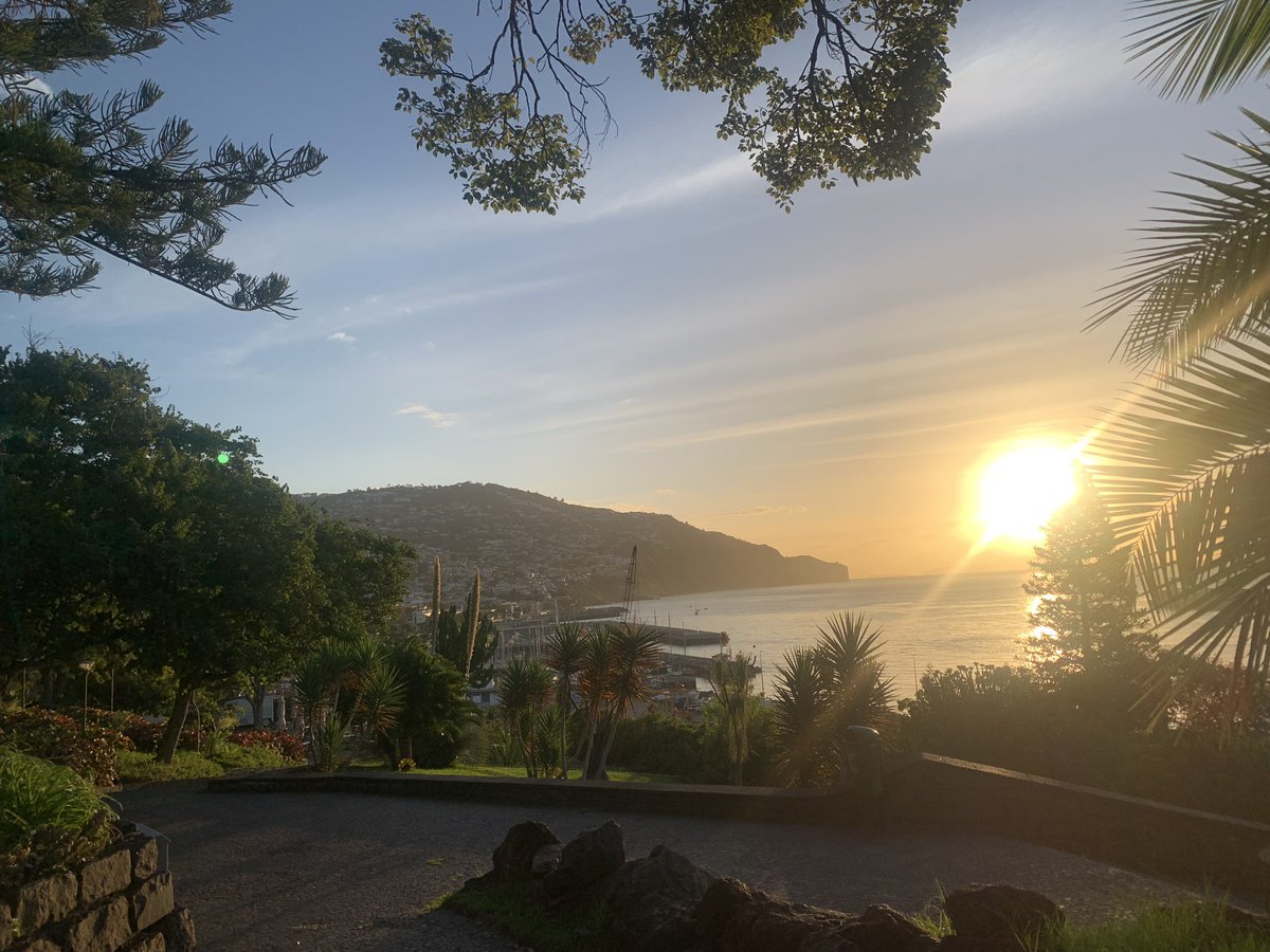 Running back in Madeira, love these Funchal hills ⛰️🙄🫣😂