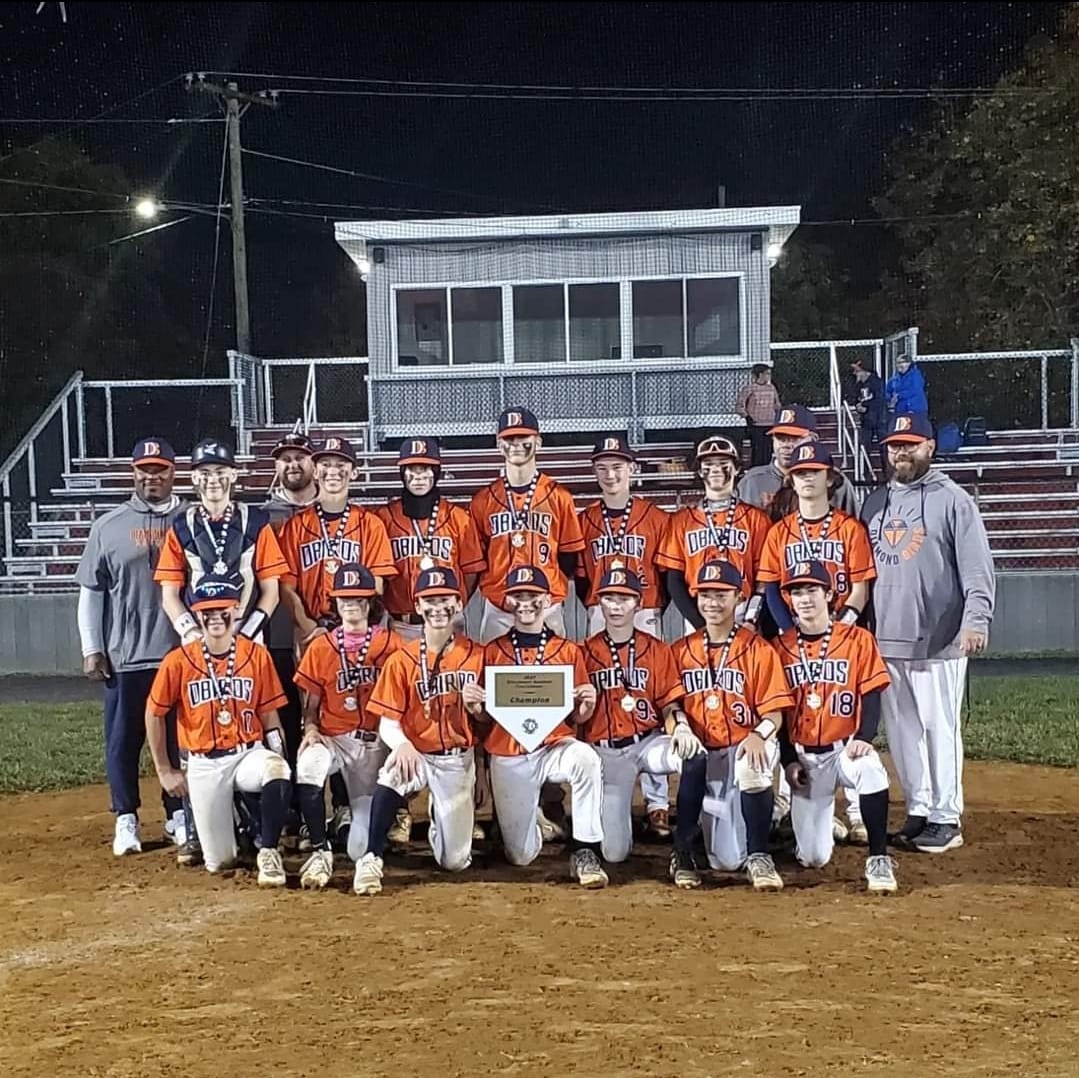 Diamond Birds Baseball tweet media