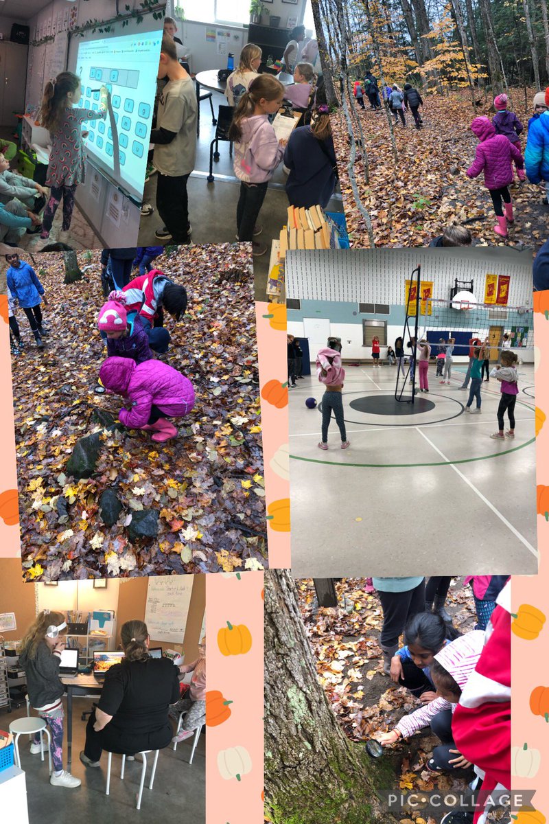 MsAHolban's tweet photo. Last week we: learned about Carroll diagrams with the CoddSquad, encoded/decoded words, collected data for bar graphs, went to Gatineau Park, played Tower Dodgeball, learned how to use Google Read&amp;Write, and more!! The Homies had a busy week of learning! 🍂🍁 https://t.co/P7fBL5MoR7