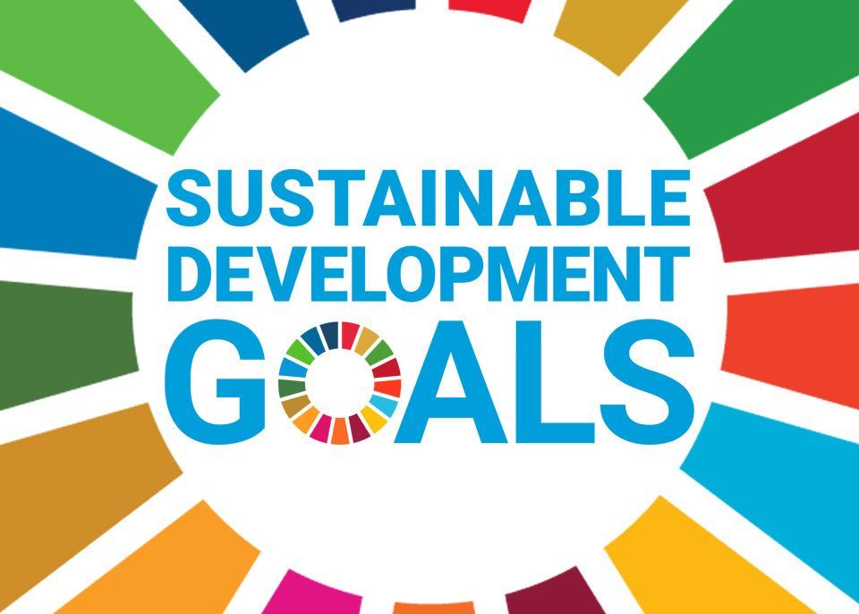 ♻ As an extension of its strategic roadmap in favour of #transitions and to promote the efforts already undertaken on an international scale, the university has published a 1st report on its actions in the light of the @un's Sustainable Development Goals u-bordeaux.fr/en/news/the-un…