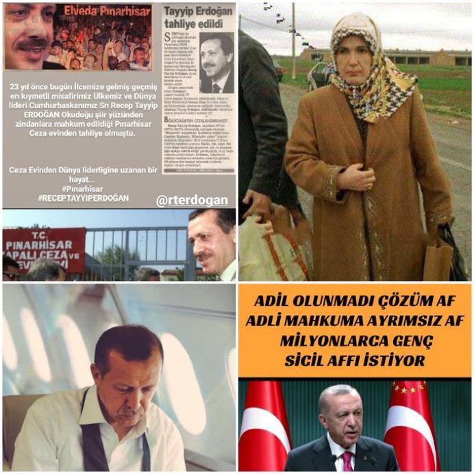 Songul Efe tweet media