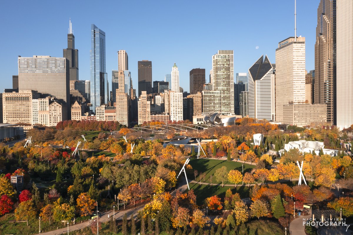 Maggie Daley Park looked glorious on this chilly fall morning. Caught the moon, too. Many trees are at or past peak color // #ILwx #ChicagoWX