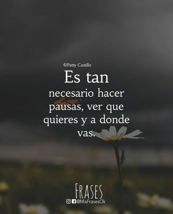 Alex Grullon (@agrullon5) on Twitter photo 