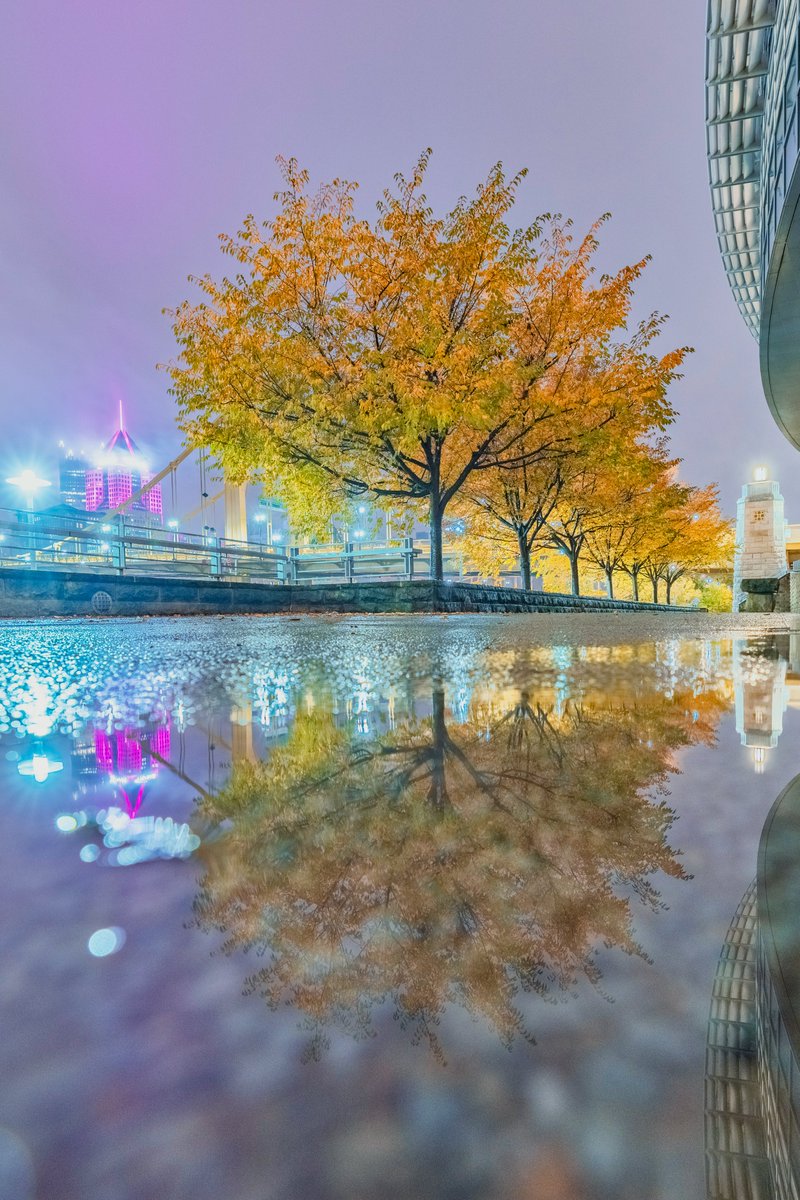 DaveDiCello's tweet photo. Spent some time around #Pittsburgh this morning in the rain capturing some moody scenes, and this one was top on my list. When I saw the colors starting to turn last week and the rain in the forecast this weekend, I fortunate to be able to capture one of my favorite compositions. https://t.co/Lg2t71vatR