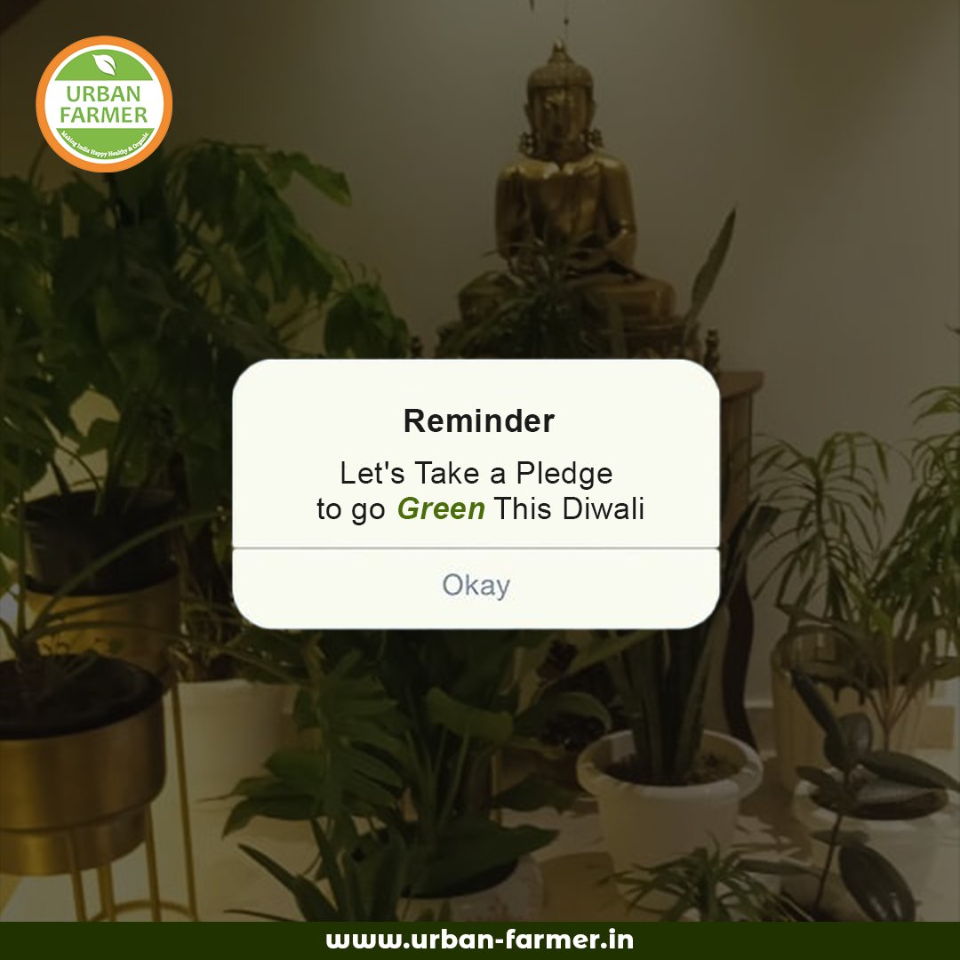 🌿✨ This #Diwali, let's embrace the green! Pledge for a sustainable celebration and let nature reward you. 

#GreenDiwali #EcoFriendlyFestivities #UrbanFarmer #Diwali2023 #OrganicDiwali #GreenThumb #FestivalOfLights #EcoFriendlyDiwali #CelebrateSustainably #GardenGlow #PlantMore