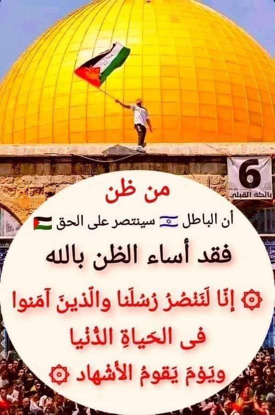 Mahmoud Elsalkay (@elsalkay) on Twitter photo 