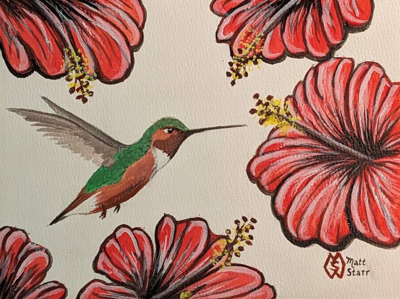 BIRDTOBER 2023- Day 30: Allen’s hummingbird 

#mattstarrfineart #birdtober #birdtober2023 #bird #birds #birdart #birdillustration #birdpainting #birdartist #artchallenge #birdartwork #art #painting #Allenshummingbird #hummingbird #nectar #hibiscus #hibiscusflowers #flower