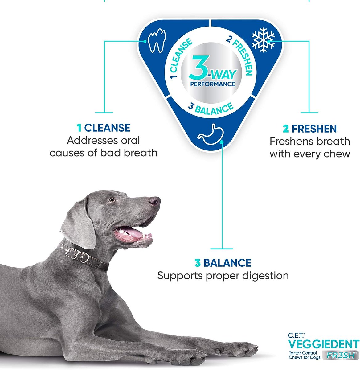 petessentialhu's tweet photo. 🐶 Boost your dog's dental health with Virbac Veggiedent FR3SH Chews! Clean teeth, fresh breath, and better digestion in one chew. 🌿🦷 

Dive in @Amazon: https://t.co/dpSfVg10hR 

#VeggiedentFR3SH #PetHealth 🐾🔗 https://t.co/LM862BUA3Q