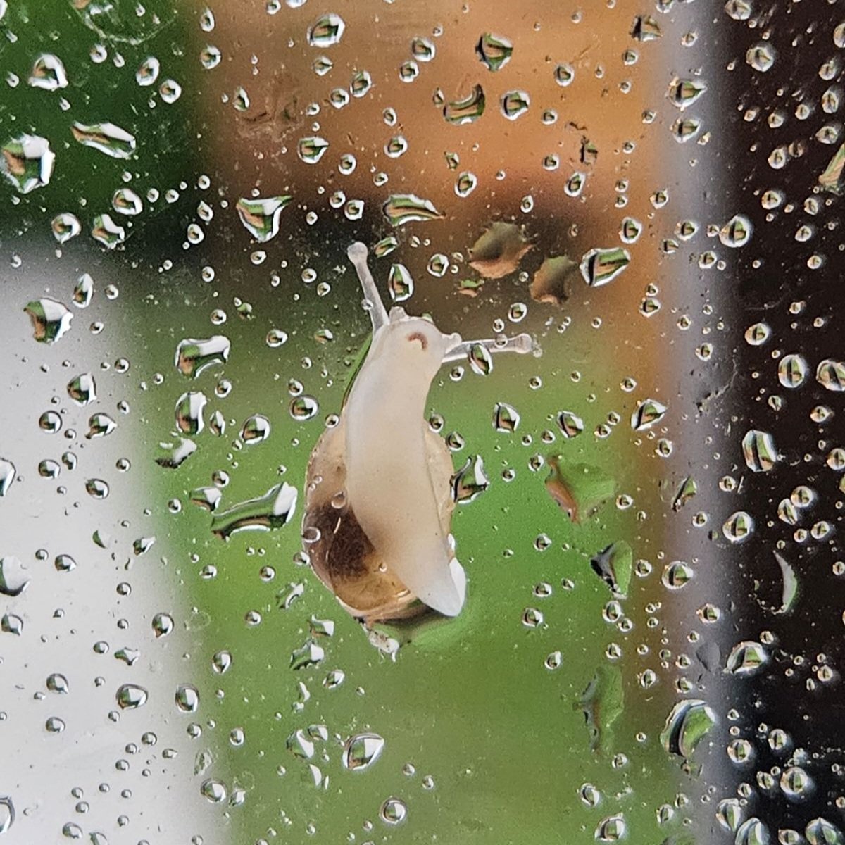 Solène Bakowski tweet media