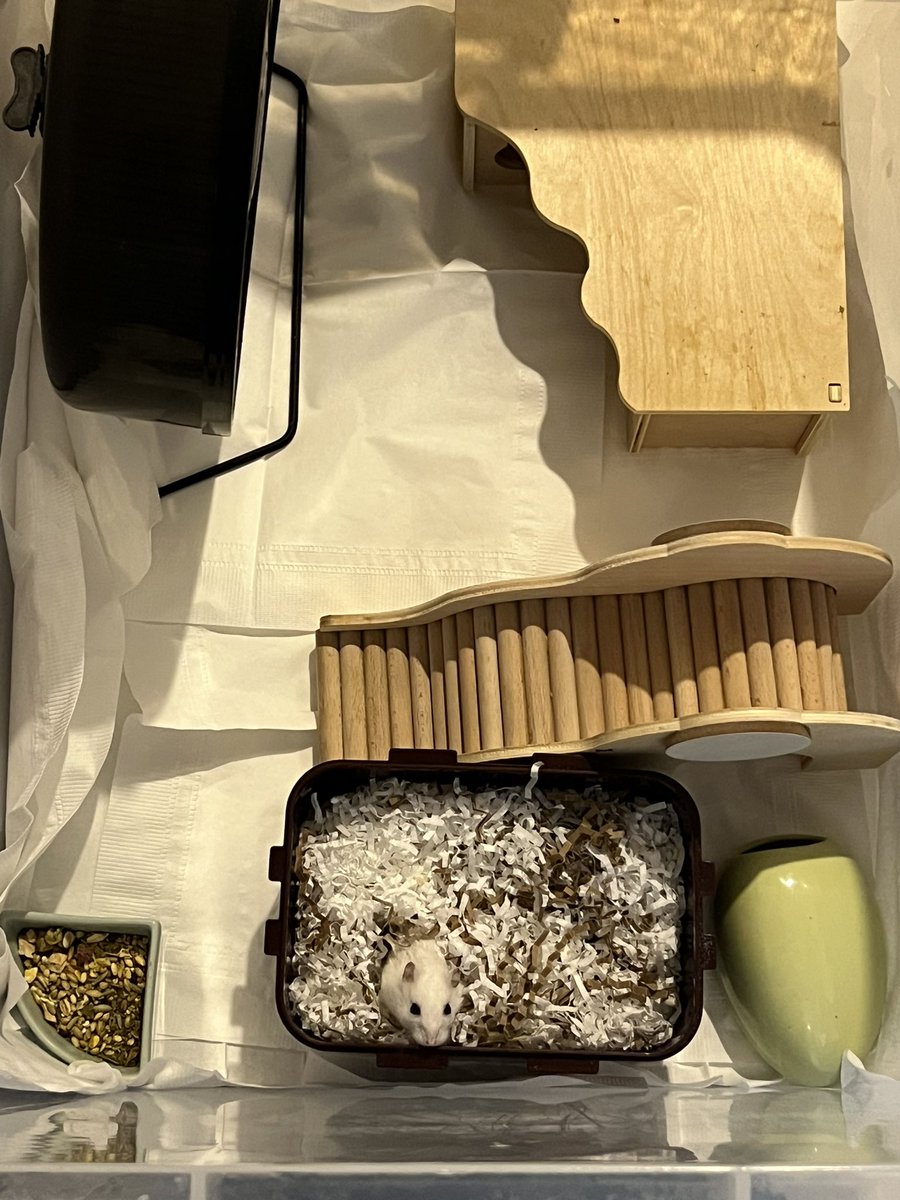 무베딩에 염증 자극 하지 말라고 하셔서 급한대로 120리빙박스로 이사했습니다 ㅠ