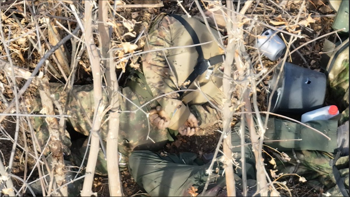 These pictures are terrifying. But the world must see the evidence of yet another war crime committed by russian terrorists. russians took Ukrainian soldiers captive, then tied their hands and killed them. Those who say that we should put up with russian terror are supporting…